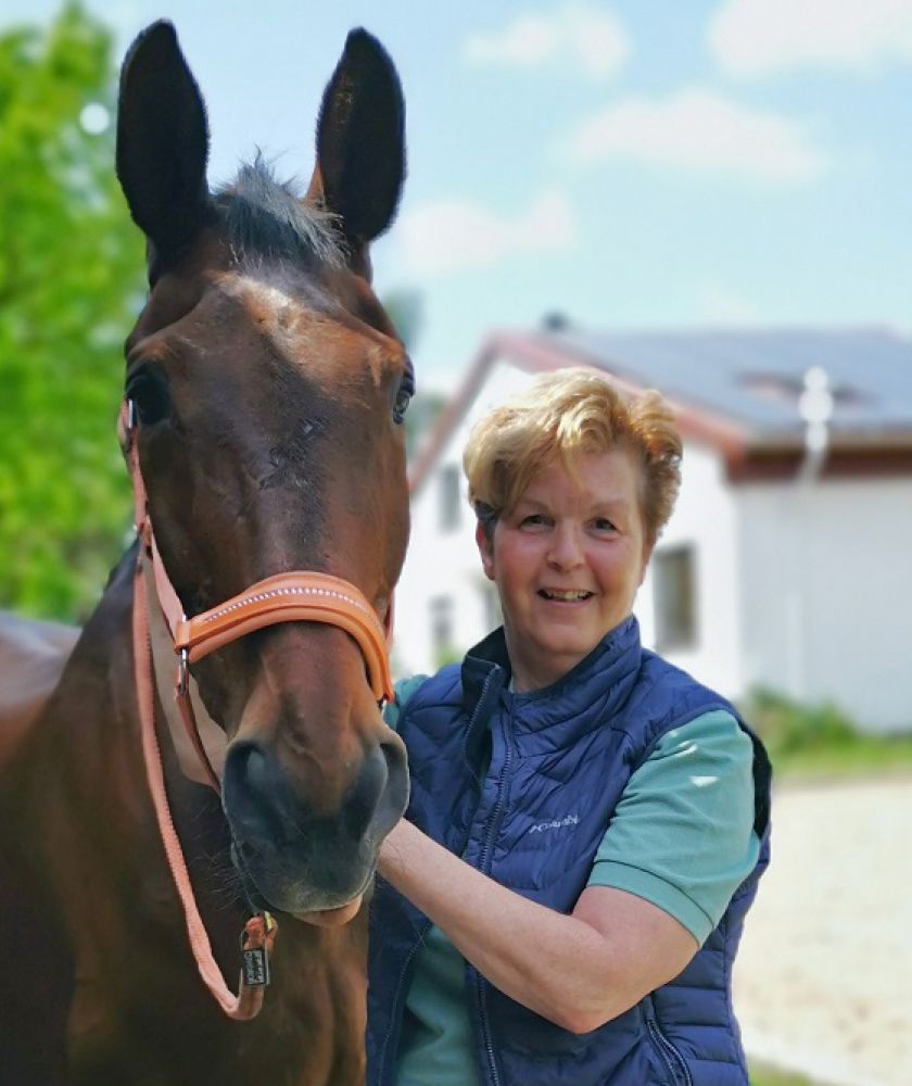 Beobachten Fühlen Zuhören